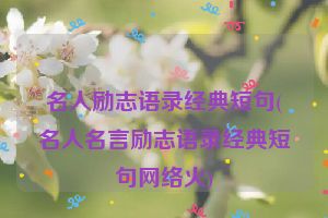 名人励志语录经典短句(名人名言励志语录经典短句网络火)