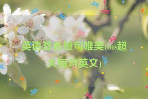 英语签名短句唯美(ins超火短句英文)