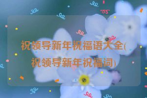 祝领导新年祝福语大全(祝领导新年祝福词)