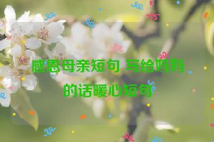 感恩母亲短句 写给妈妈的话暖心短句