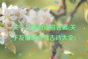 关于友情的诗词名篇(关于友情的诗句古诗大全)