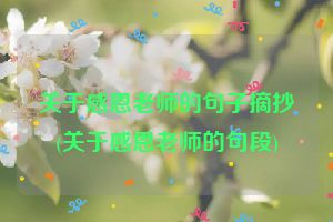 关于感恩老师的句子摘抄(关于感恩老师的句段)