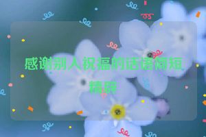 感谢别人祝福的话语简短精辟