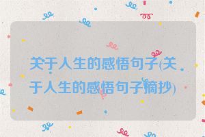 关于人生的感悟句子(关于人生的感悟句子摘抄)