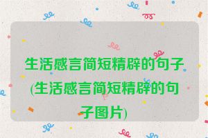 生活感言简短精辟的句子(生活感言简短精辟的句子图片)