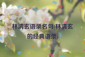 林清玄语录名句(林清玄的经典语录)