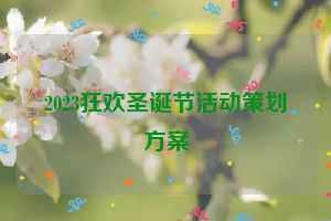 2023狂欢圣诞节活动策划方案