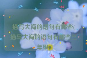 描写大海的语句有哪些(描写大海的语句有哪些三年级)
