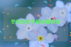 冬至吃饺子朋友圈说说