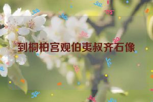 到桐柏宫观伯夷叔齐石像