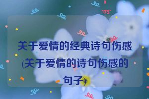 关于爱情的经典诗句伤感(关于爱情的诗句伤感的句子)