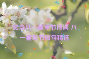 纪念八一建军节诗词 八一建军节短句精选