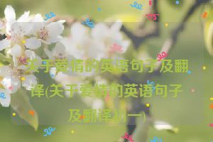 关于爱情的英语句子及翻译(关于爱情的英语句子及翻译初一)