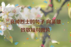 哀悼烈士的句子 向英雄致敬短句图片