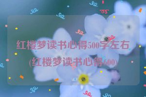 红楼梦读书心得500字左右(红楼梦读书心得600)