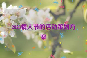 2023情人节的活动策划方案