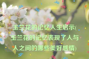 玉兰花的记忆人生启示(玉兰花的记忆表现了人与人之间的哪些美好感情)