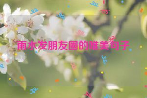 雨水发朋友圈的唯美句子