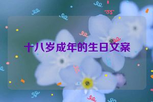 十八岁成年的生日文案