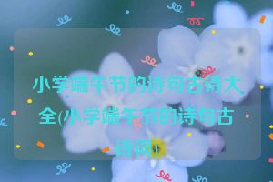 小学端午节的诗句古诗大全(小学端午节的诗句古诗词)