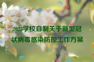 2023学校自制关于新型冠状病毒感染防控工作方案