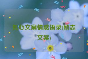 扎心文案情感语录(励志文案)