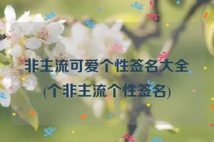 非主流可爱个性签名大全(个非主流个性签名)
