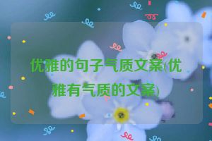 优雅的句子气质文案(优雅有气质的文案)