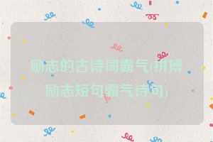 励志的古诗词霸气(拼搏励志短句霸气诗句)