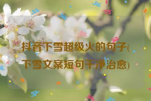 抖音下雪超级火的句子(下雪文案短句干净治愈)