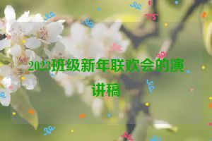 2023班级新年联欢会的演讲稿