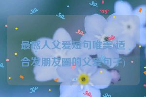 最感人父爱短句唯美(适合发朋友圈的父爱句子)