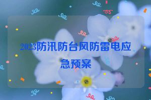 2023防汛防台风防雷电应急预案