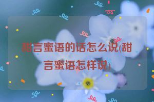 甜言蜜语的话怎么说(甜言蜜语怎样说)