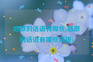 感激的话语有哪些(感激的话语有哪些词语)