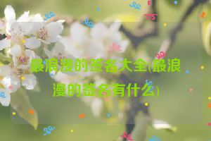 最浪漫的签名大全(最浪漫的签名有什么)
