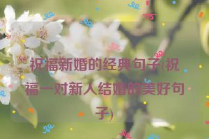 祝福新婚的经典句子(祝福一对新人结婚的美好句子)