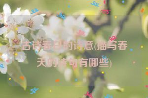 古诗春日的诗意(描写春天的诗句有哪些)