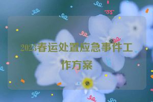 2023春运处置应急事件工作方案