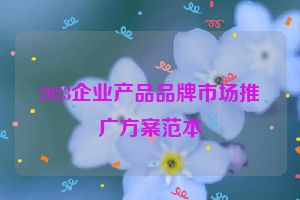 2023企业产品品牌市场推广方案范本