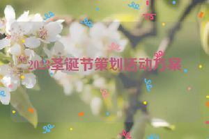 2023圣诞节策划活动方案