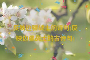 反映边疆战士的诗句(反映边疆战士的古诗句)