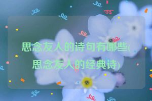 思念友人的诗句有哪些(思念友人的经典诗)