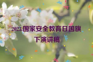 2023.国家安全教育日国旗下演讲稿
