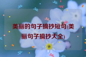 美丽的句子摘抄短句(美丽句子摘抄大全)