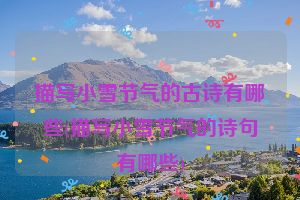 描写小雪节气的古诗有哪些(描写小雪节气的诗句有哪些)