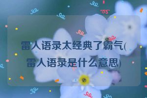 雷人语录太经典了霸气(雷人语录是什么意思)