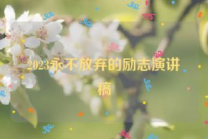 2023永不放弃的励志演讲稿