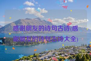 感谢朋友的诗句古诗(感谢朋友的诗句古诗大全)