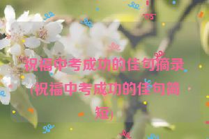 祝福中考成功的佳句摘录(祝福中考成功的佳句简短)